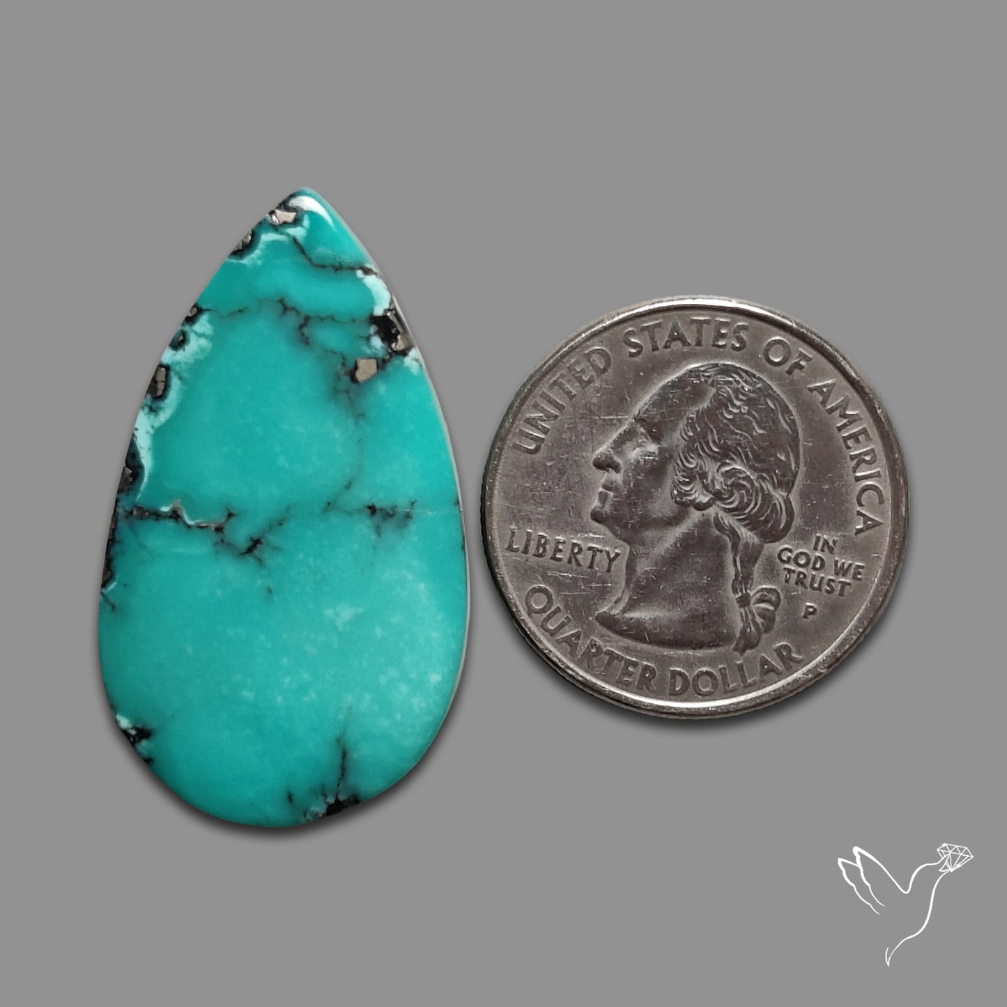 Campitos Mines Turquoise Cabochon