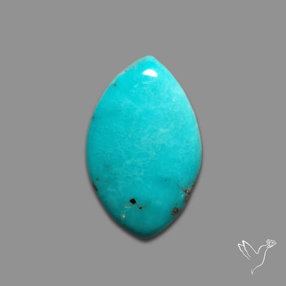 Campitos Mines Turquoise Cabochon