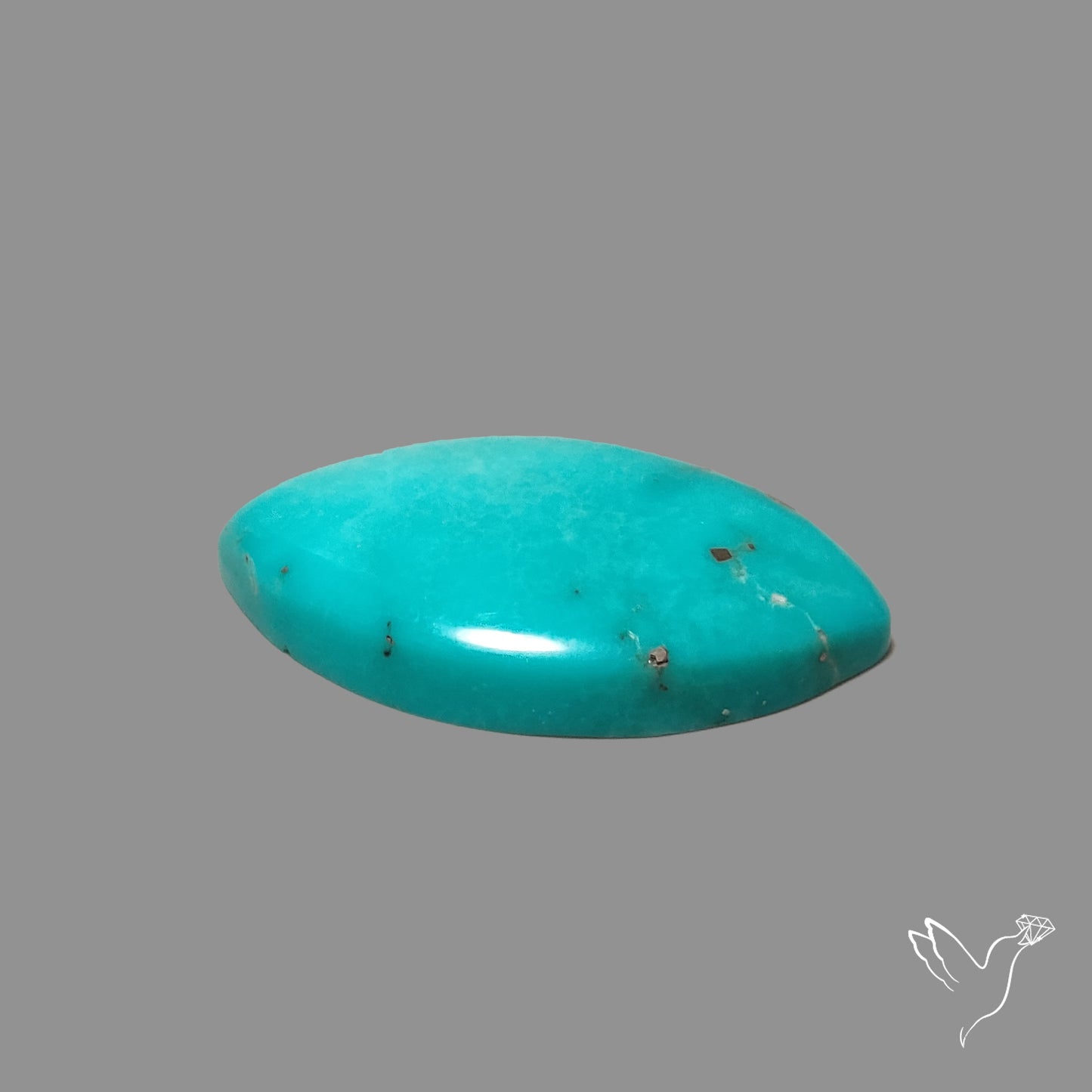 Campitos Mines Turquoise Cabochon