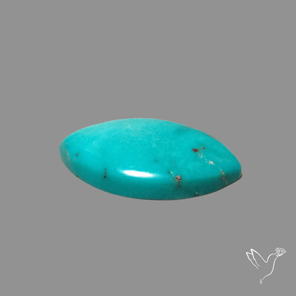 Campitos Mines Turquoise Cabochon