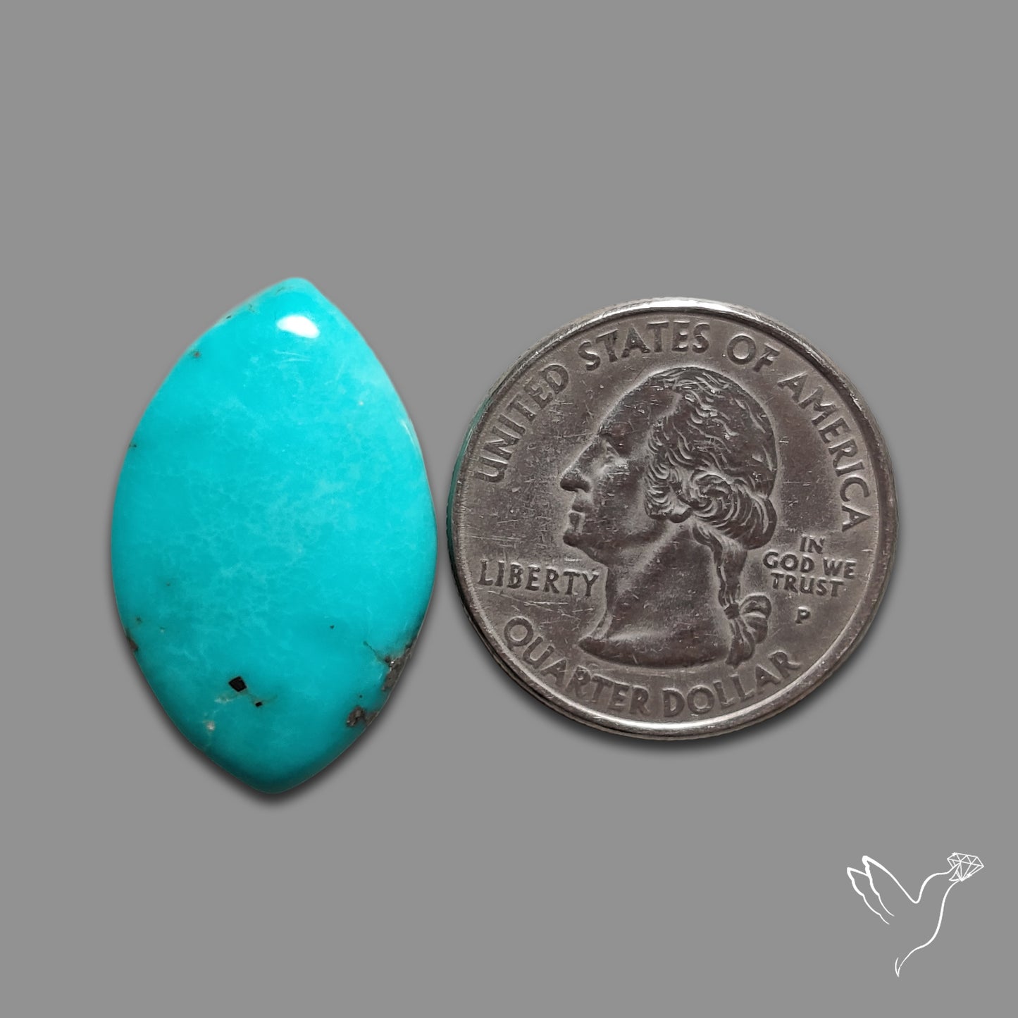 Campitos Mines Turquoise Cabochon