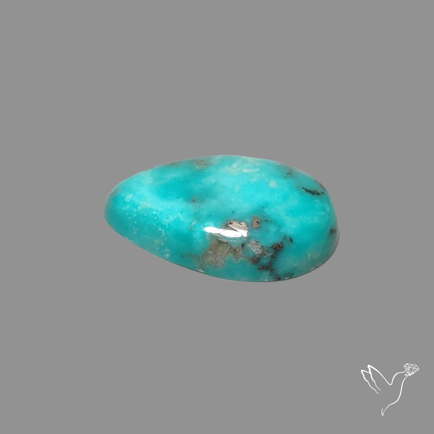 Campitos Mines Turquoise Cabochon