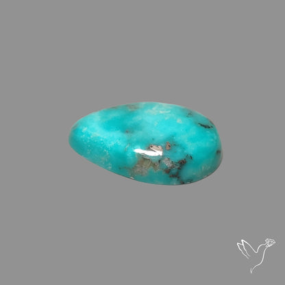 Campitos Mines Turquoise Cabochon