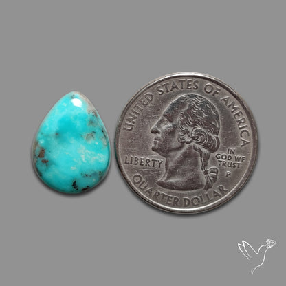 Campitos Mines Turquoise Cabochon