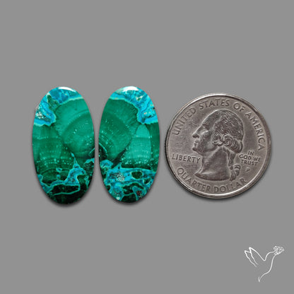 Chrysocolla In Malachite Pair