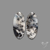 Dendritic Agates Pair