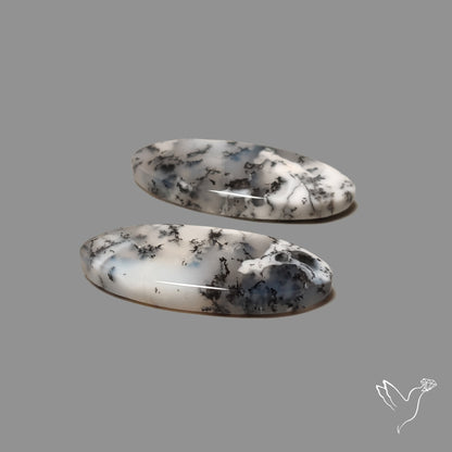 Dendritic Agates Pair