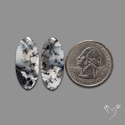 Dendritic Agates Pair