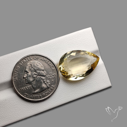 Faceted Beer Quartz