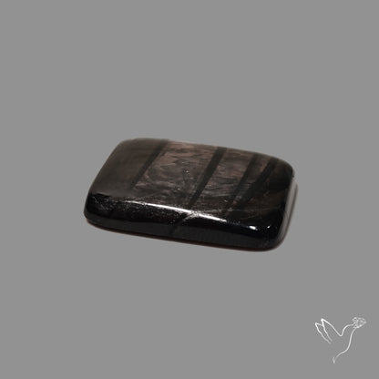 Hypersthene Cabochon