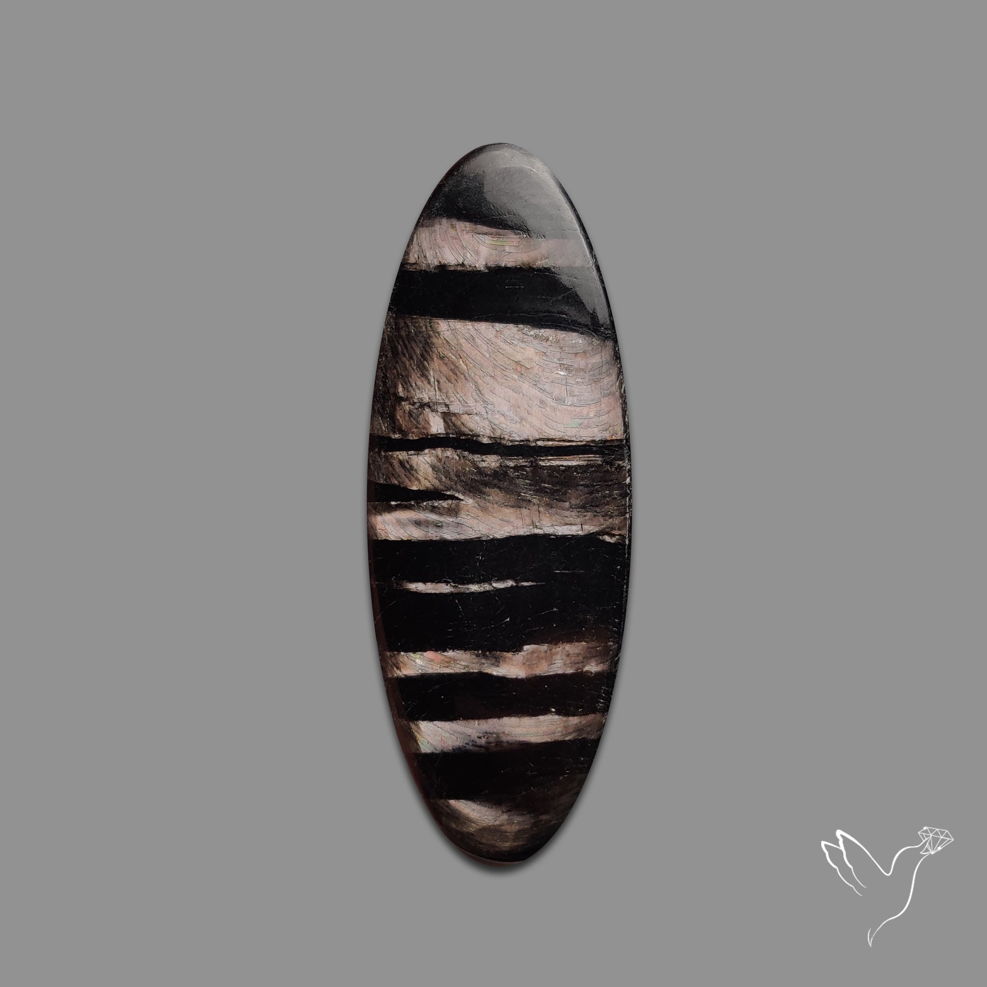 Hypersthene Cabochon
