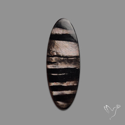 Hypersthene Cabochon