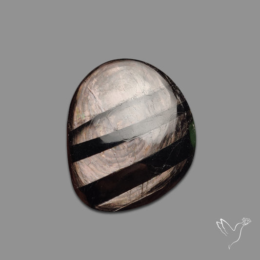 Hypersthene Cabochon