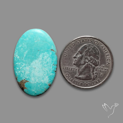 Number 8 Mines Turquoise Cabochon