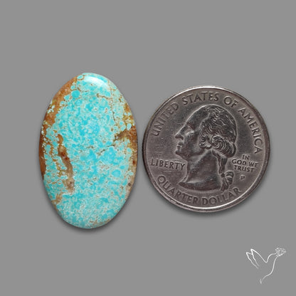 Number 8 Mines Turquoise Cabochon