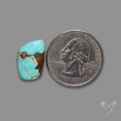 Number 8 Mines Turquoise Cabochon