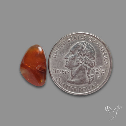 Mexican Fire Agate