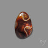 Mexican Fire Agate