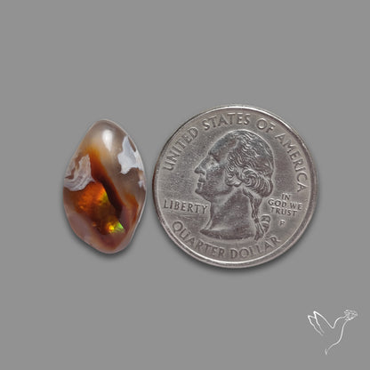 Mexican Fire Agate