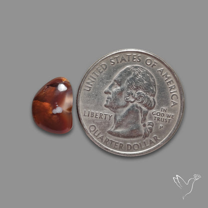 Mexican Fire Agate