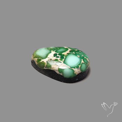Sonoran Gold Turquoise Cabochon Rare Pattern (backed)