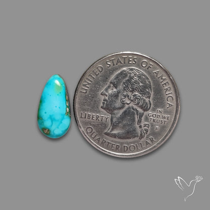 Sonoran Gold Turquoise Cabochon Rare Pattern (backed)