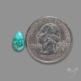 Sonoran Gold Turquoise Cabochon Rare Pattern (backed)