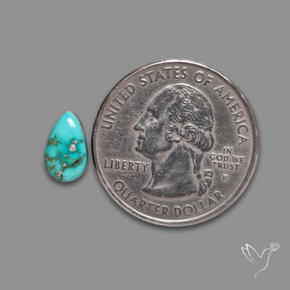 Sonoran Gold Turquoise Cabochon Rare Pattern (backed)