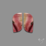 Bicolor Mookaite Pair