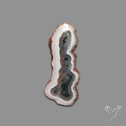 Solar Quartz with Moss Slice Raw Edges Freeform