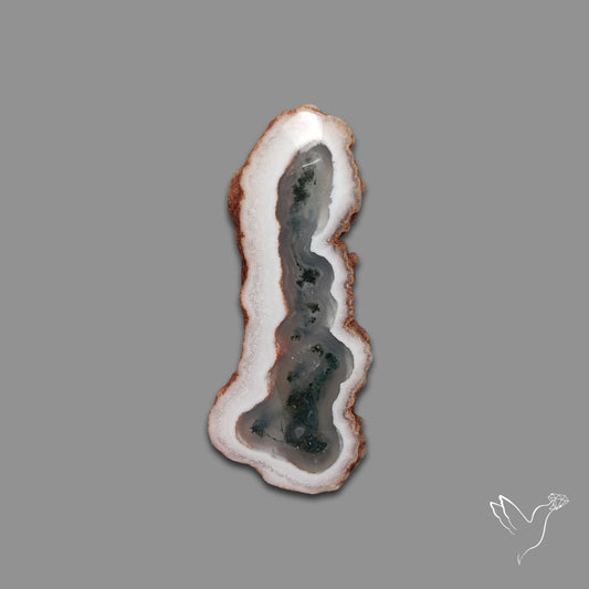 Solar Quartz with Moss Slice Raw Edges Freeform