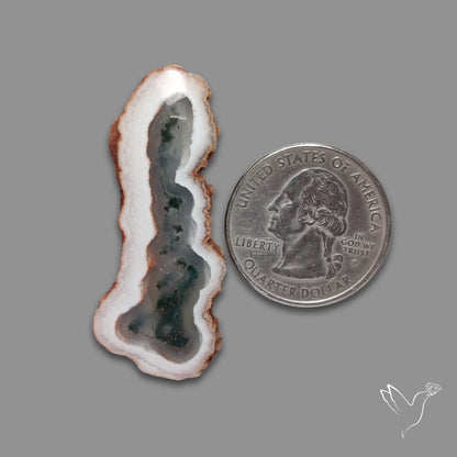 Solar Quartz with Moss Slice Raw Edges Freeform