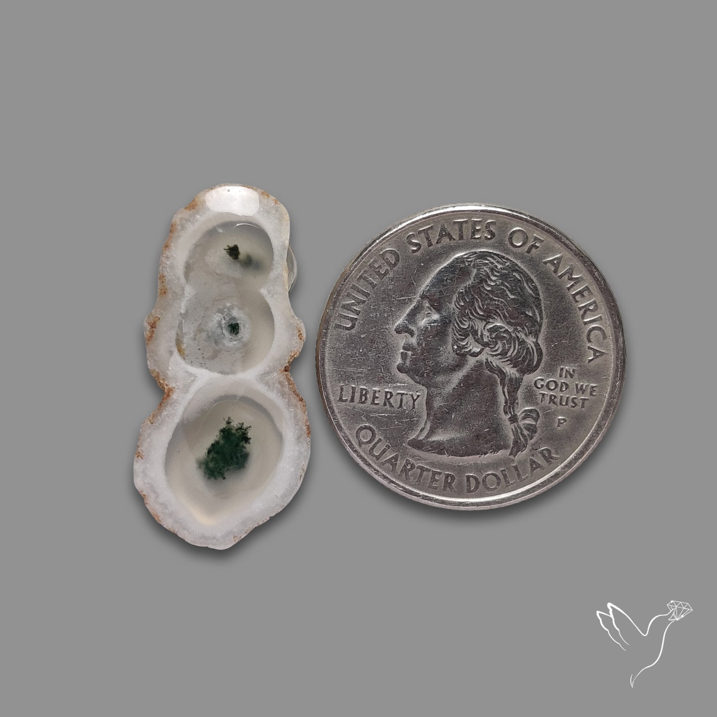 Solar Quartz with Moss Slice Raw Edges Freeform