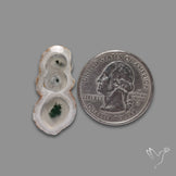 Solar Quartz with Moss Slice Raw Edges Freeform