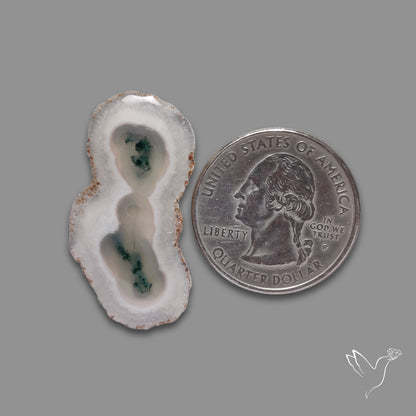 Solar Quartz with Moss Slice Raw Edges Freeform