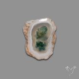 Solar Quartz with Moss Slice Raw Edges Freeform