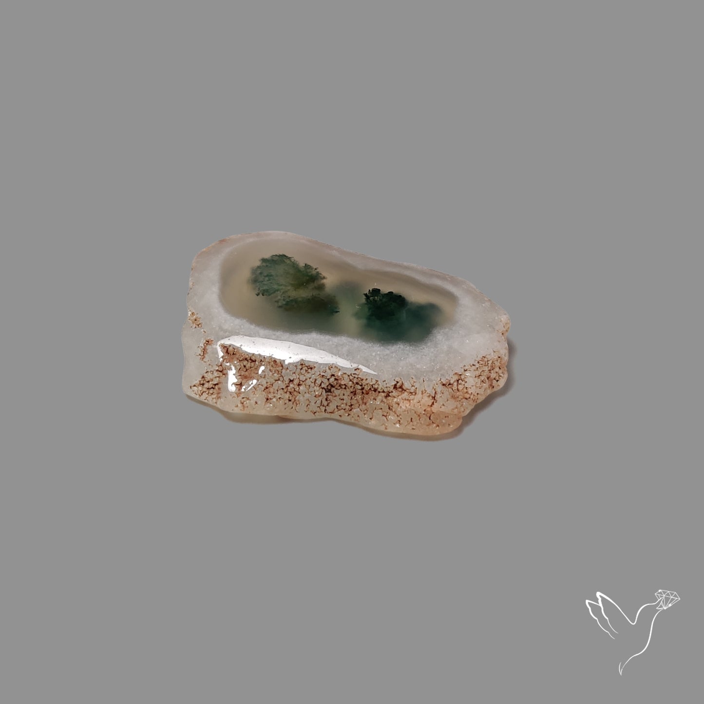 Solar Quartz with Moss Slice Raw Edges Freeform