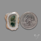 Solar Quartz with Moss Slice Raw Edges Freeform