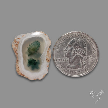 Solar Quartz with Moss Slice Raw Edges Freeform