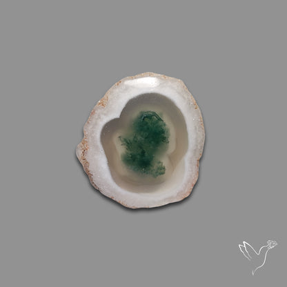 Solar Quartz with Moss Slice Raw Edges Freeform