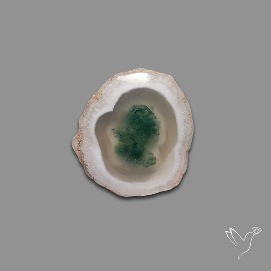 Solar Quartz with Moss Slice Raw Edges Freeform