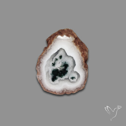 Solar Quartz with Moss Slice Raw Edges Freeform