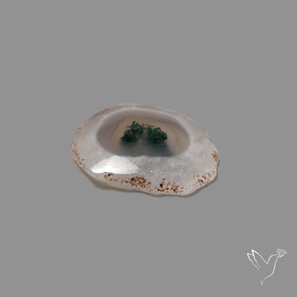 Solar Quartz with Moss Slice Raw Edges Freeform