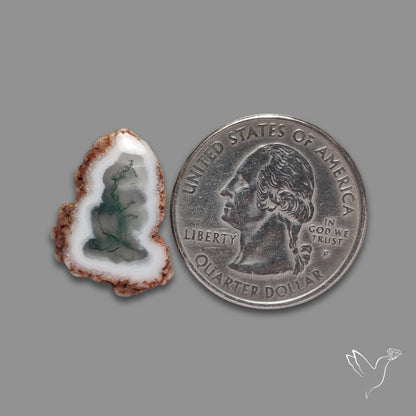 Solar Quartz with Moss Slice Raw Edges Freeform