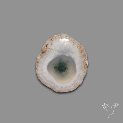 Solar Quartz with Moss Slice Raw Edges Freeform