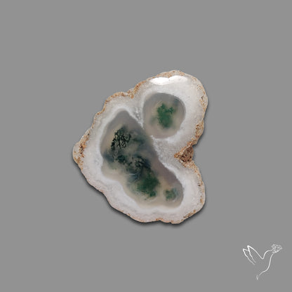 Solar Quartz with Moss Slice Raw Edges Freeform