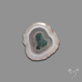 Solar Quartz with Moss Slice Raw Edges Freeform