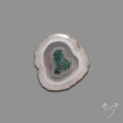 Solar Quartz with Moss Slice Raw Edges Freeform