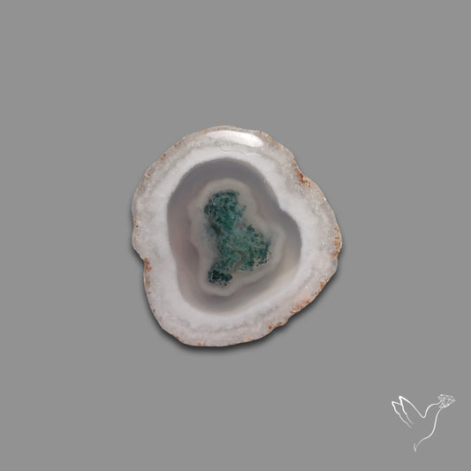 Solar Quartz with Moss Slice Raw Edges Freeform