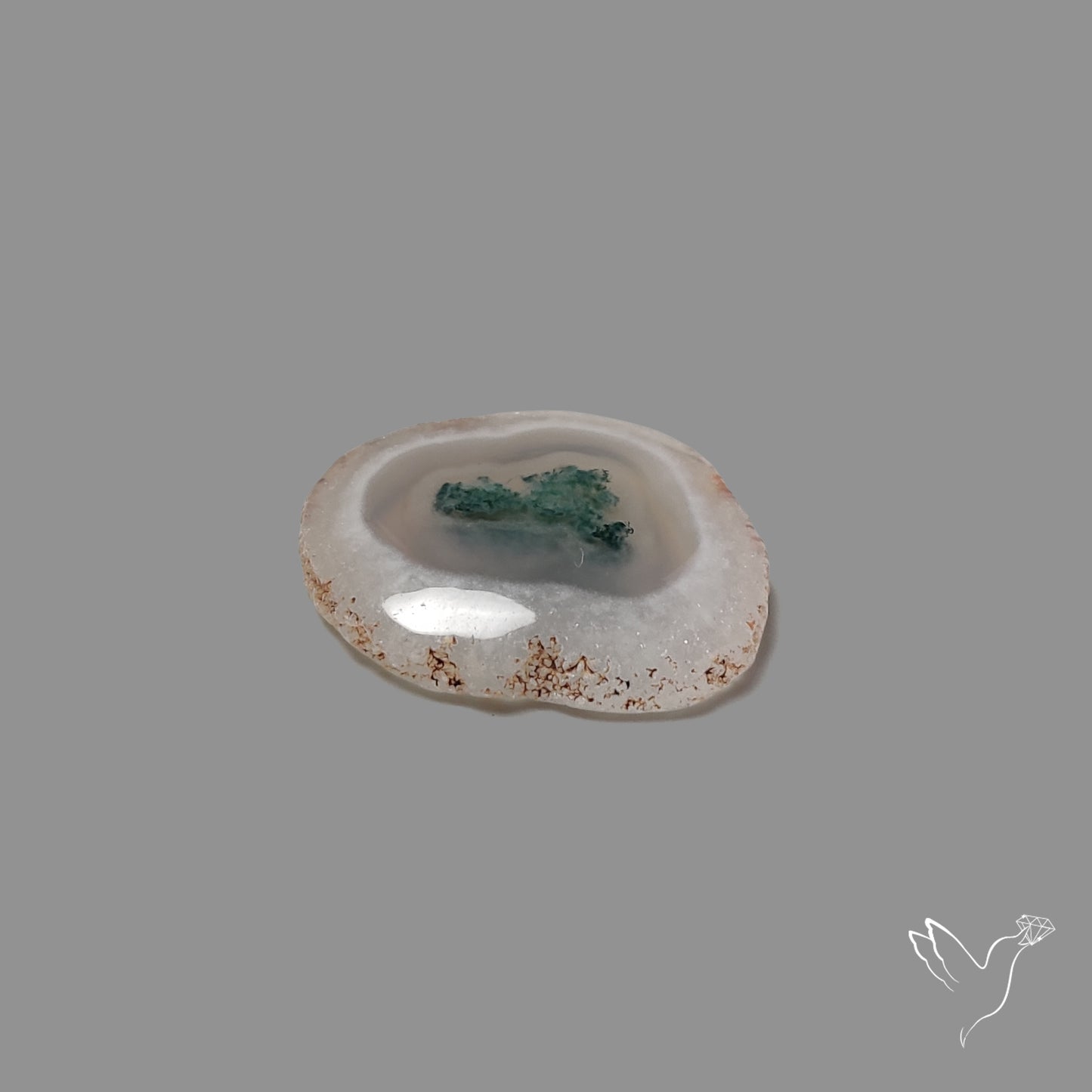 Solar Quartz with Moss Slice Raw Edges Freeform